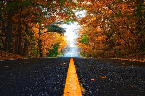 fall-road-sm
